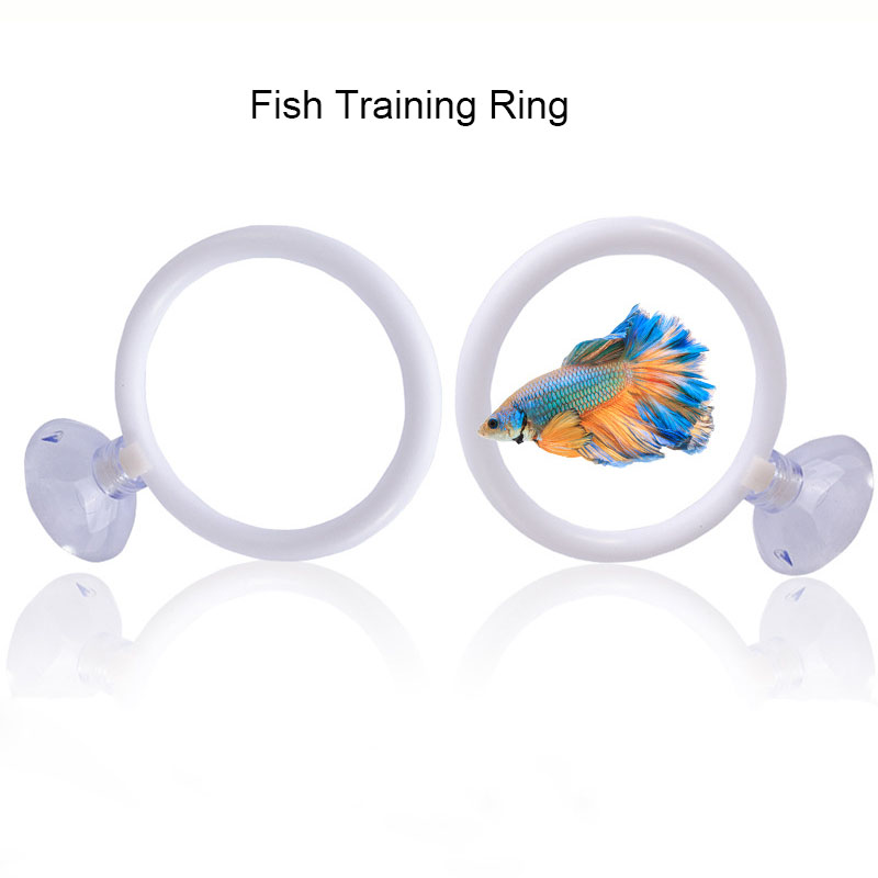 1pcs Set Cincin Latihan Ikan P - Gymnastic Ring ulasan dan harga